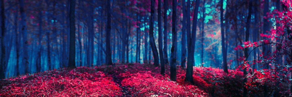 aSlenderReptile's profile banner image