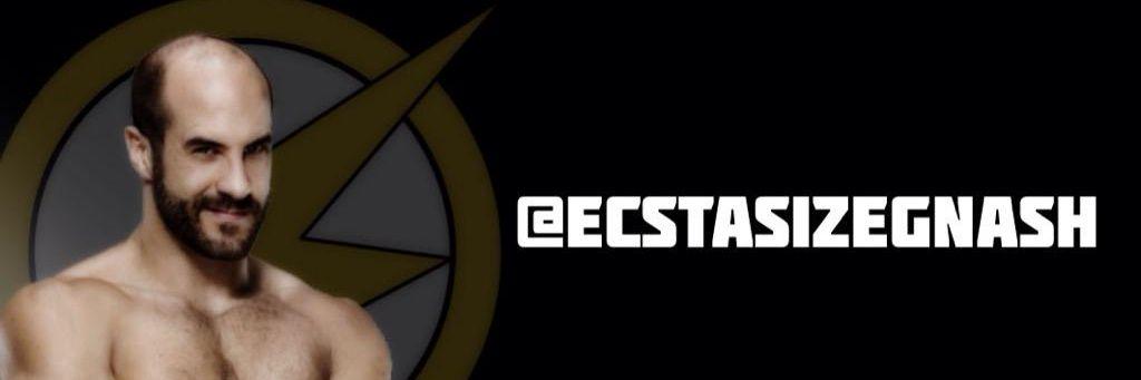 EcstasizeGnash's profile banner image