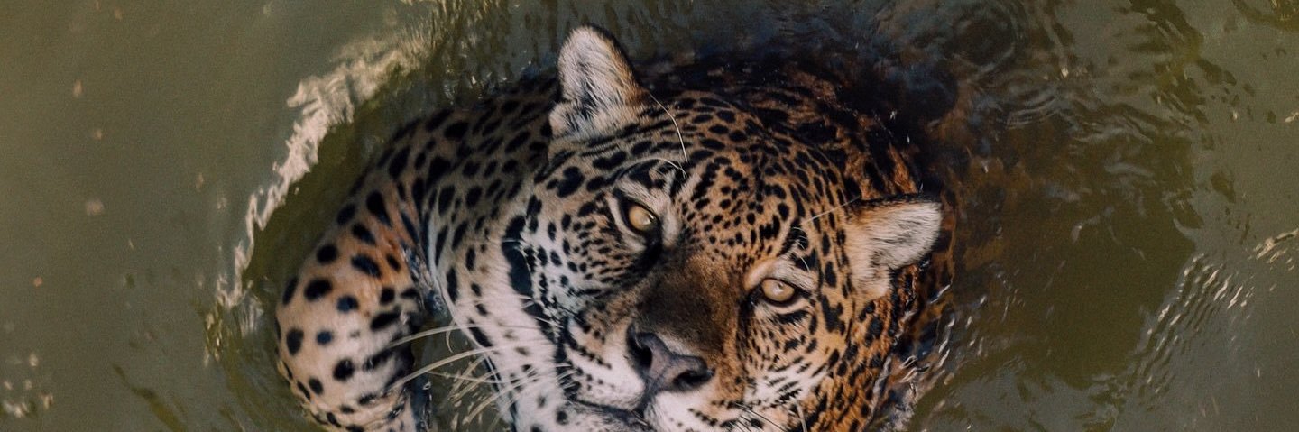 _barbosath's profile banner image