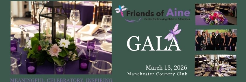 FriendsofAine banner