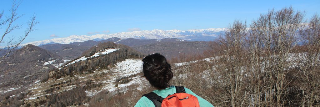 BertaRodrigo's profile banner image