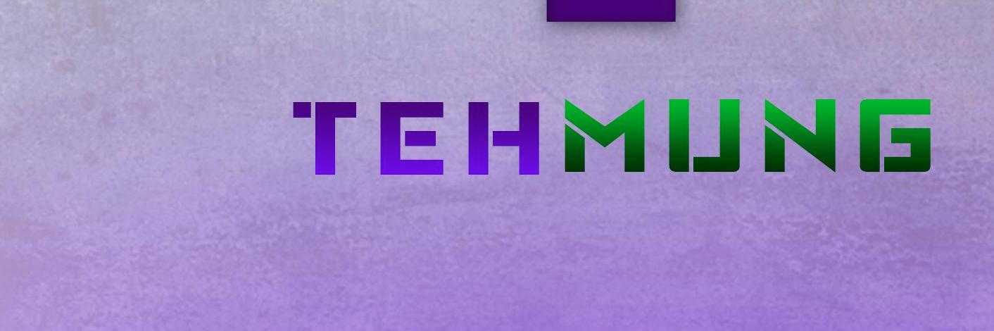 tehmung's profile banner image