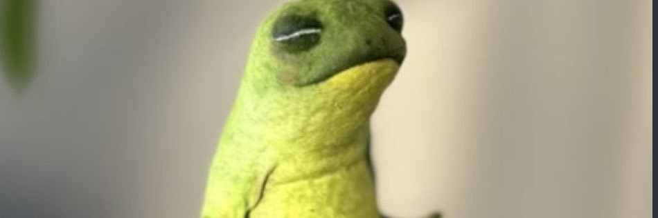 higanmind's profile banner image