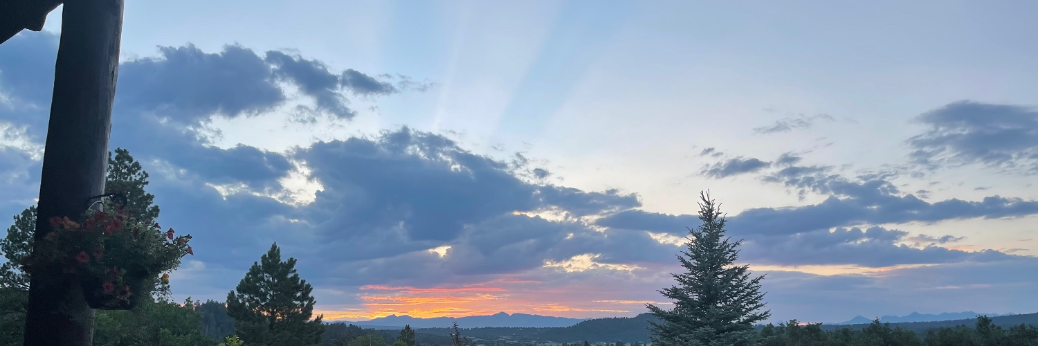 hayliee11's profile banner image