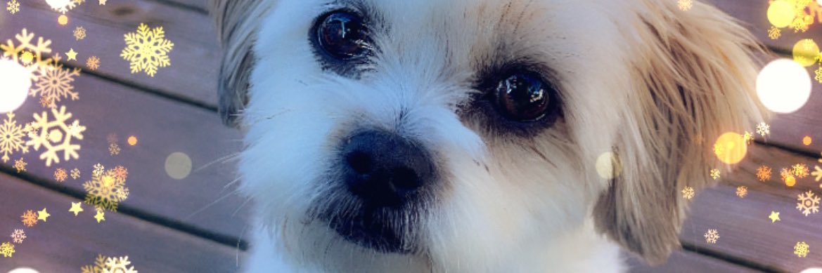 AngieJonesz's profile banner image