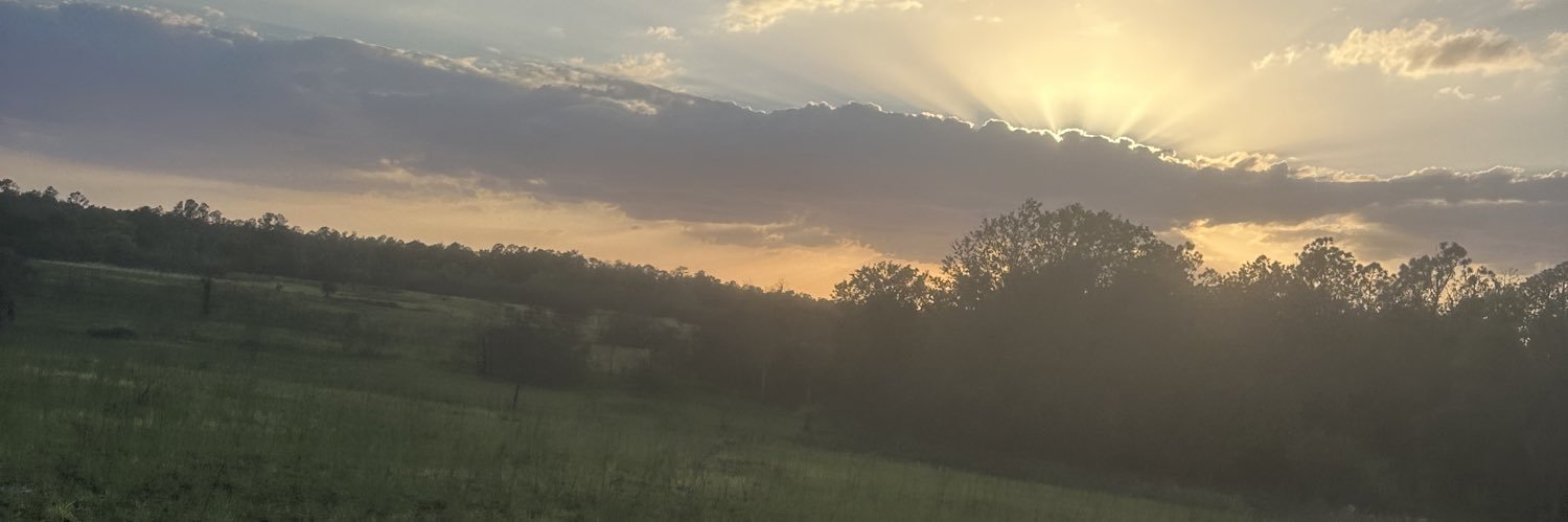 surreal623's profile banner image