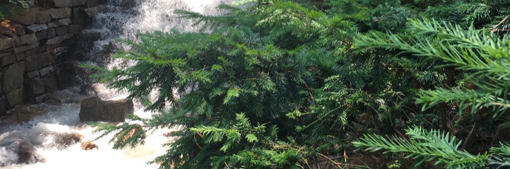 Kate Conaron banner