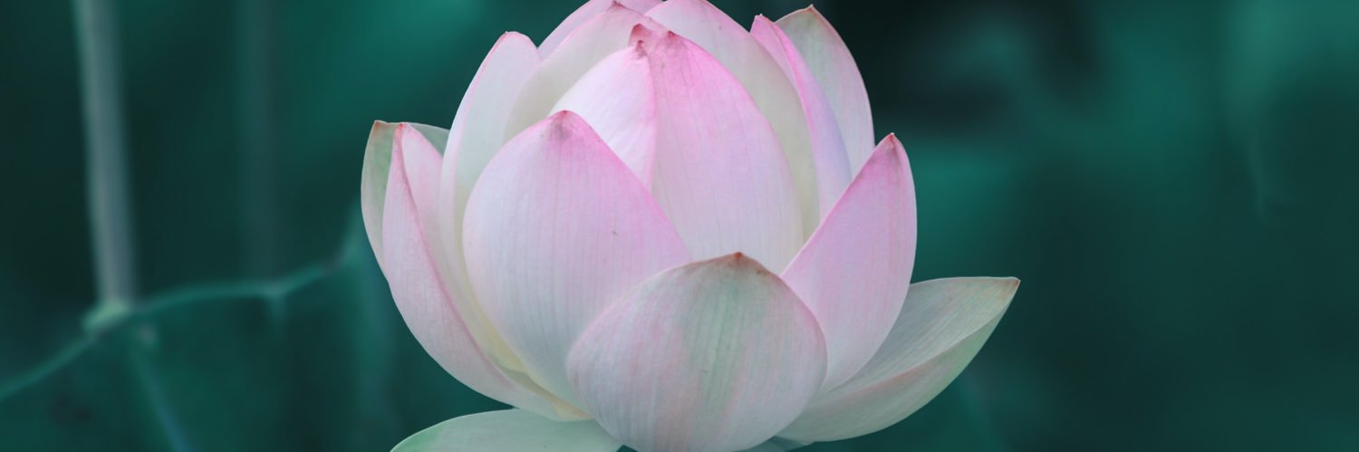 JuliaKristin's profile banner image