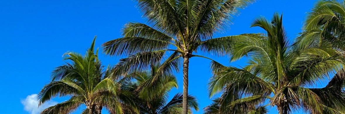 kailajenice's profile banner image