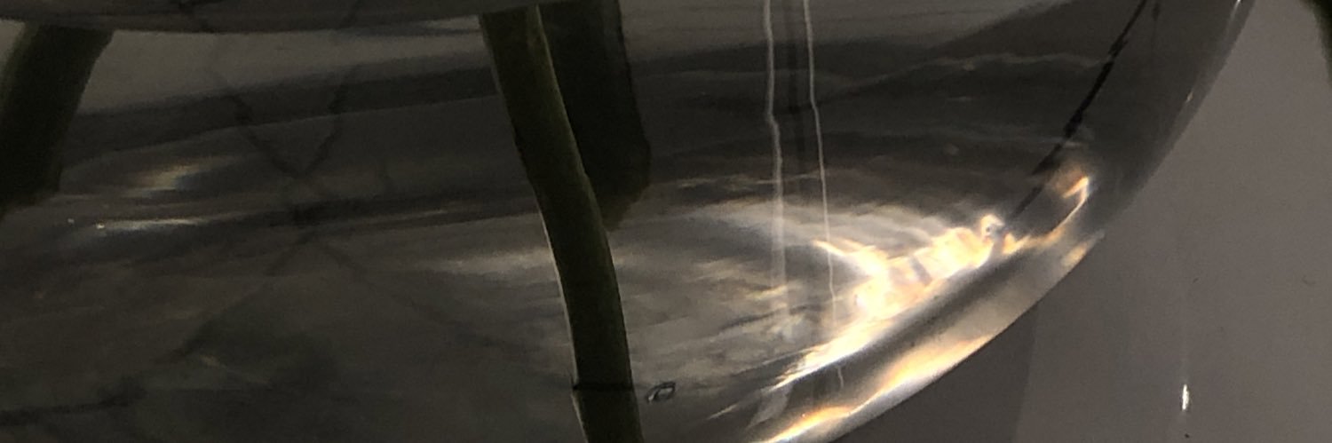 lemony_L's profile banner image