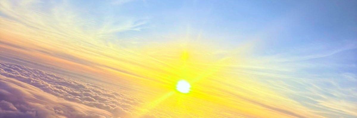 Sabocav's profile banner image