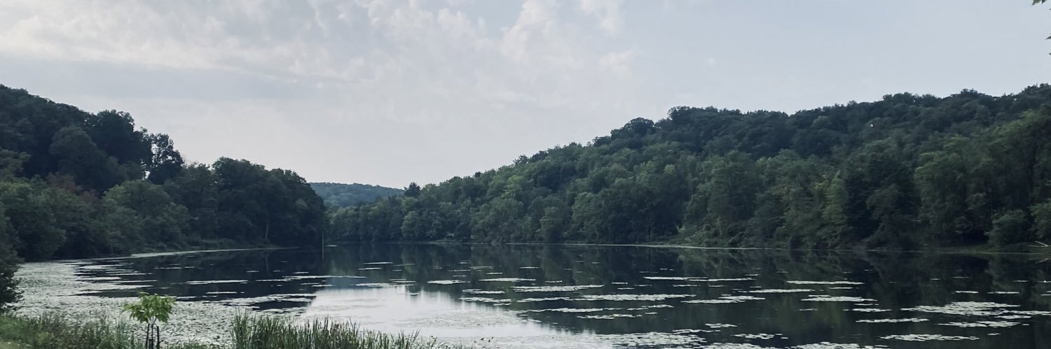 Stephanie DeLuca banner