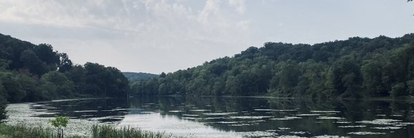 StephDeLuca16 Profile Banner