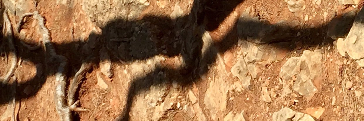 Apeg44's profile banner image