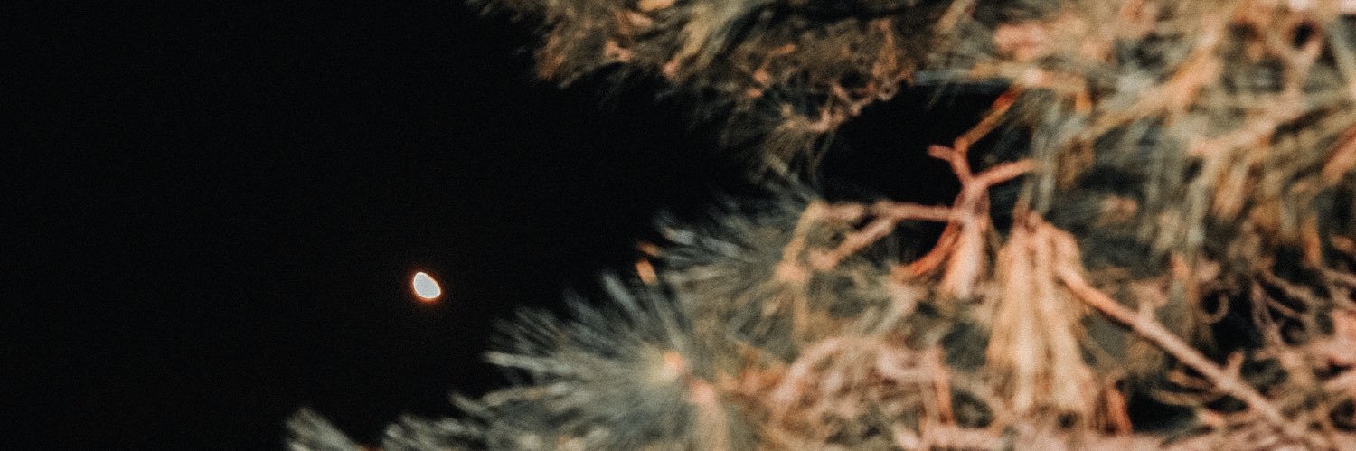 DylanKlepk's profile banner image