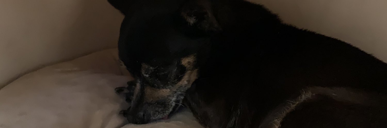 jocellyynnr's profile banner image