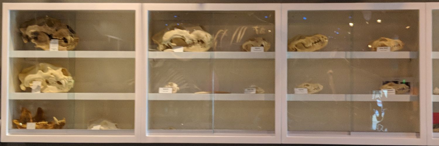 PaleoPrepLeya's profile banner image