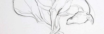 Whateverdecote's profile banner image