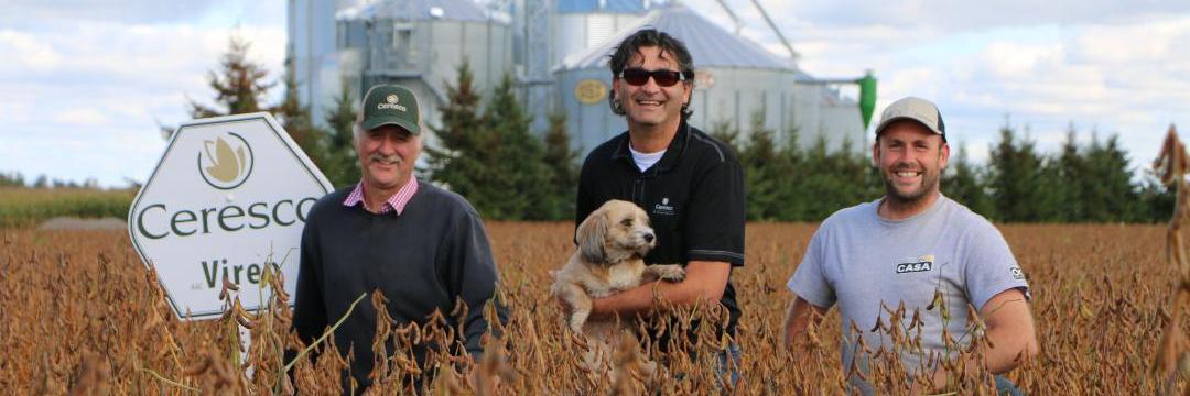 Baciu Valentin banner