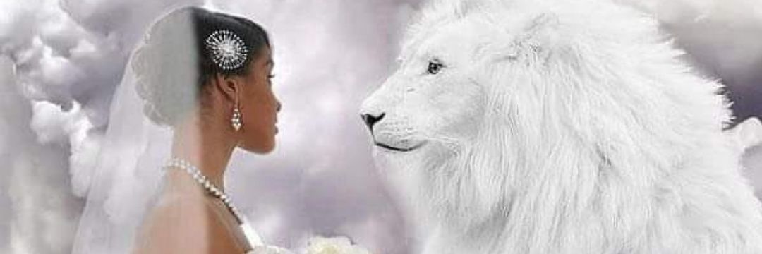 beautydakia's profile banner image
