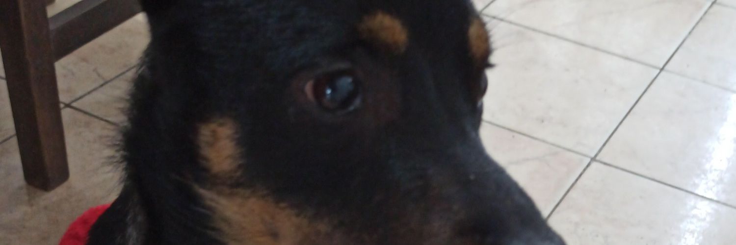 cukito_1's profile banner image