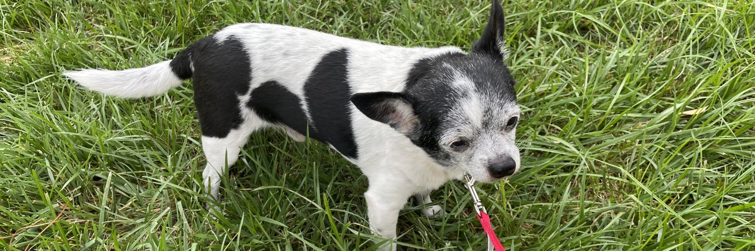 DeShaan Dixon banner