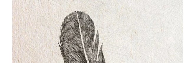 Filippo Barizza banner