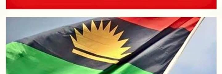 FreeBiafra Quest banner