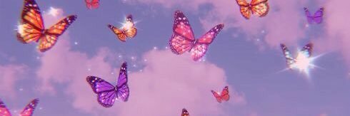 _nbitencourt's profile banner image