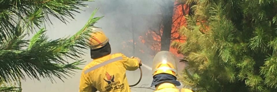 Cape Peninsula FPA banner