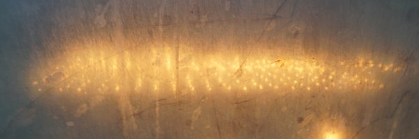 kalladomcdowell Profile Banner