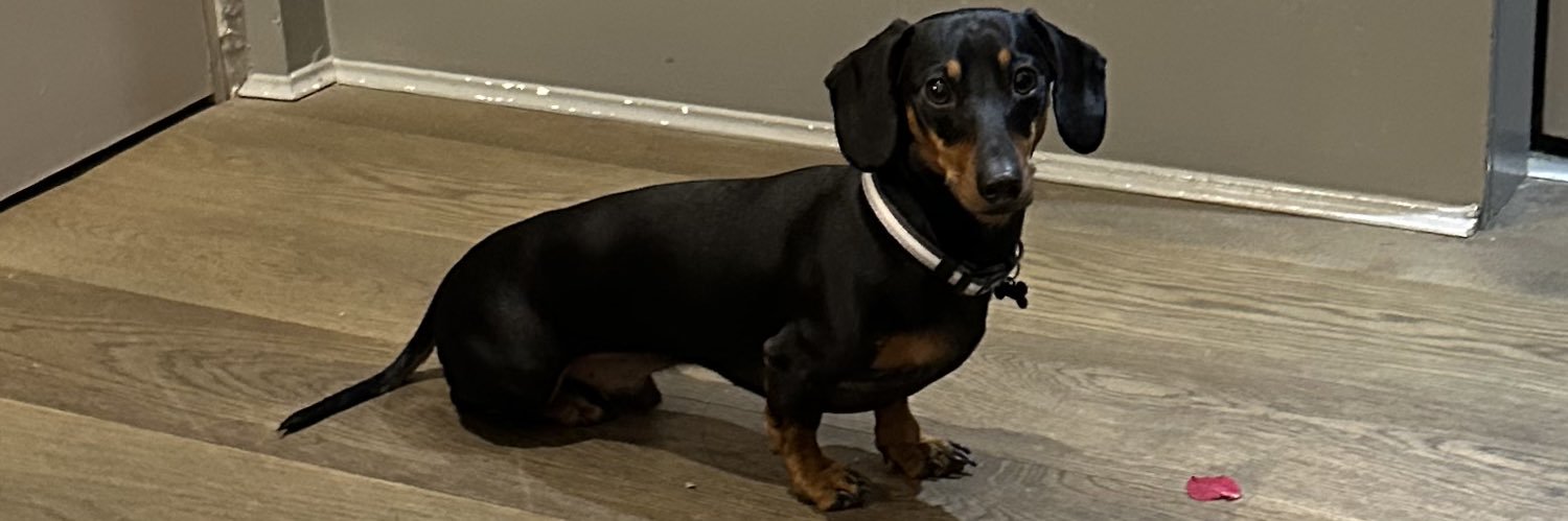 Charlie Bannister banner