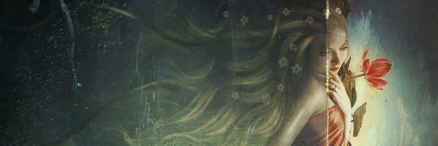 tallens_'s profile banner image