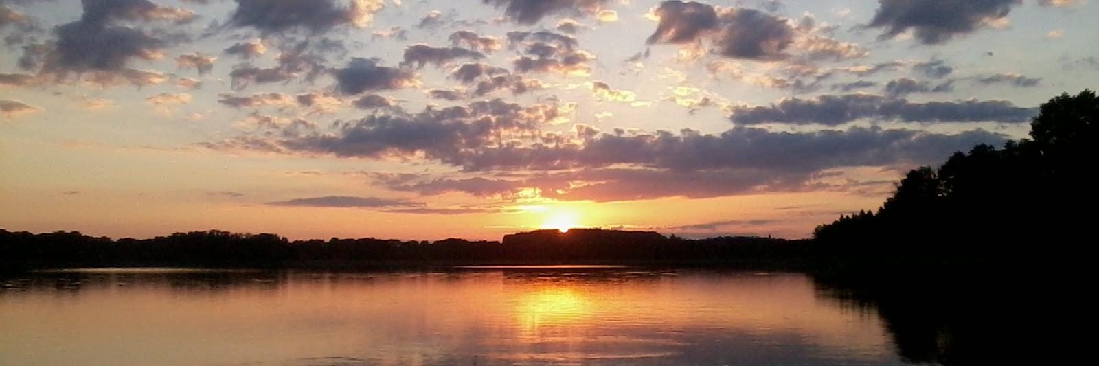 Tomasz Lasocki banner