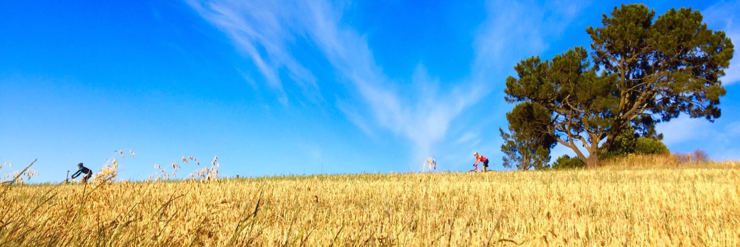 adwegner's profile banner image