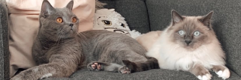 Christinabrr2's profile banner image
