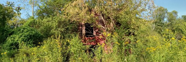 lee_johnson212 Profile Banner