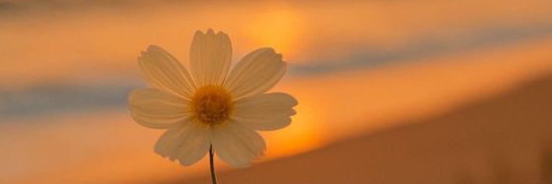 tuitiane's profile banner image