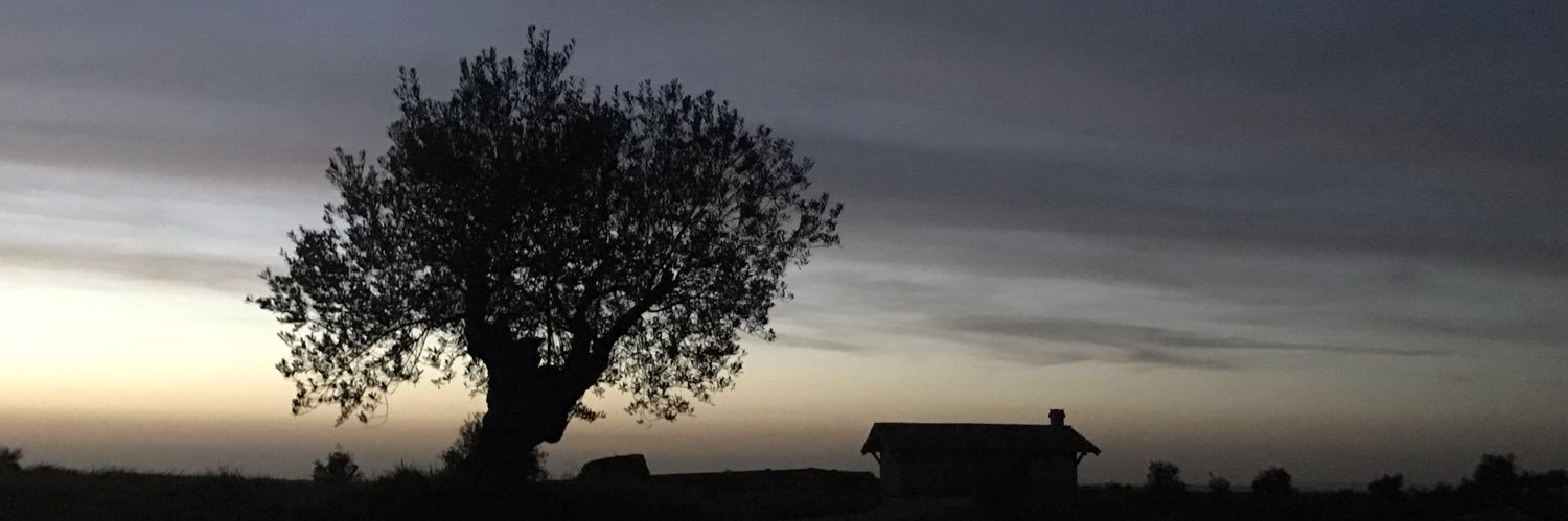 tryanday's profile banner image