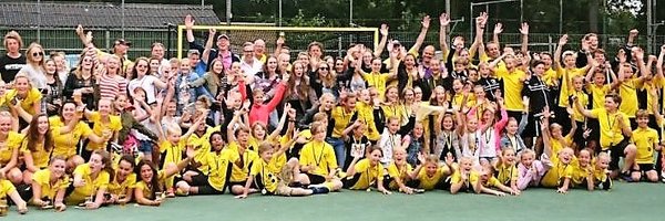 HVdeTerriers Profile Banner