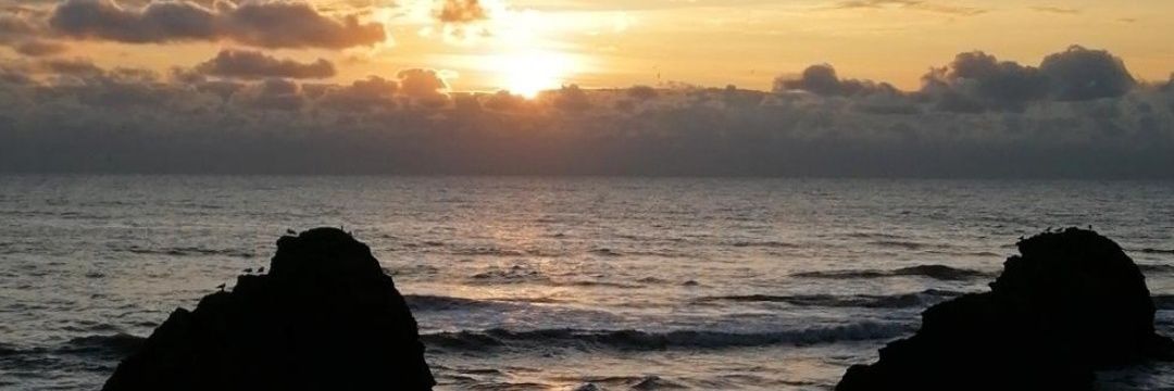 tessierronan's profile banner image