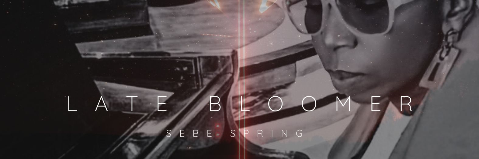 sebespring's profile banner image