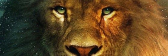 andreiagonca's profile banner image