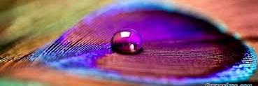 asha_naran's profile banner image