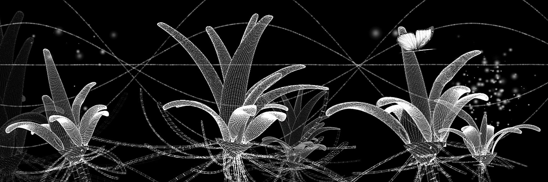 Elena_RenderUp's profile banner image