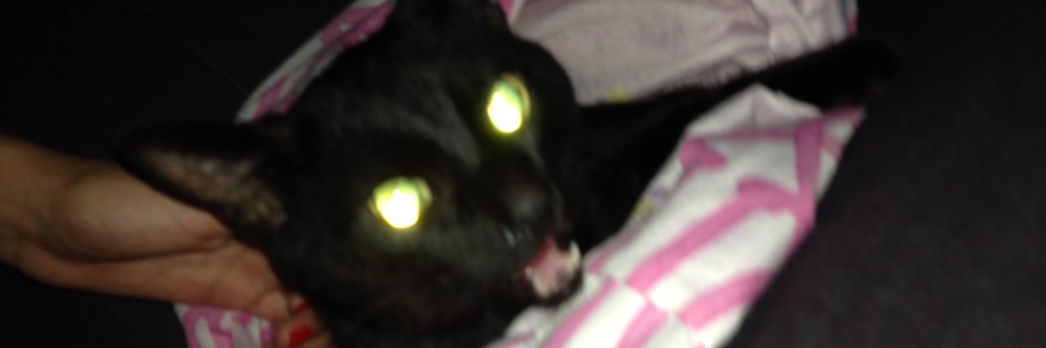 mandachagas_'s profile banner image
