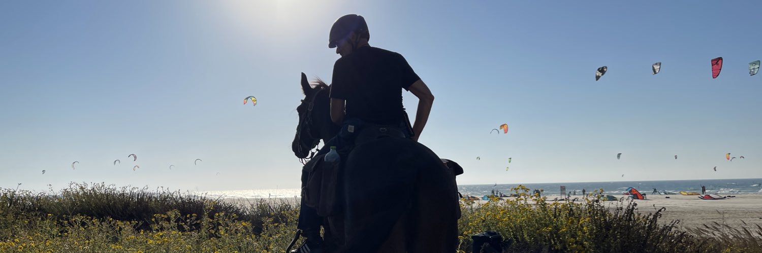 ofersegev's profile banner image