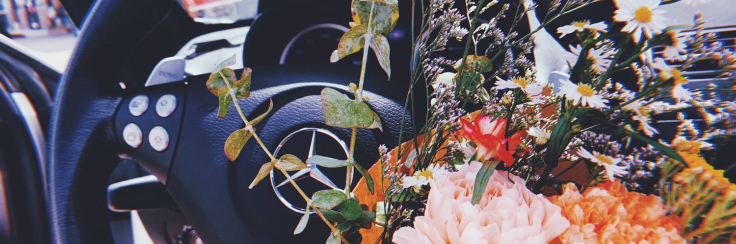 Misses_Maryy's profile banner image