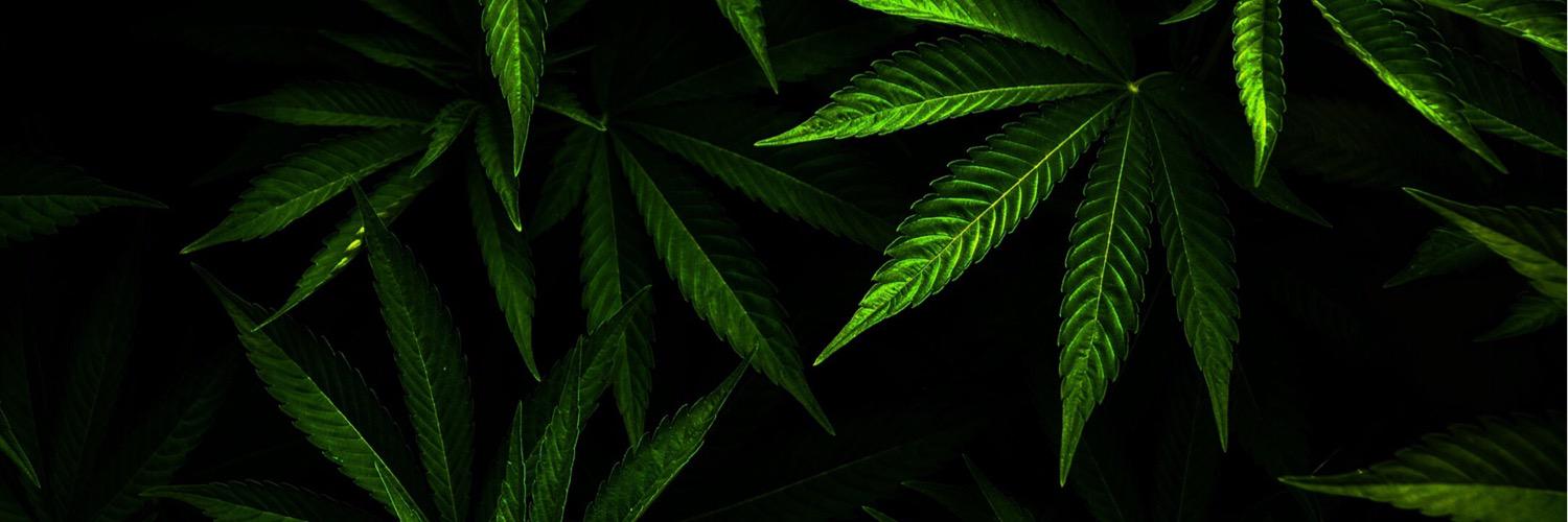 OnlyThe90s's profile banner image