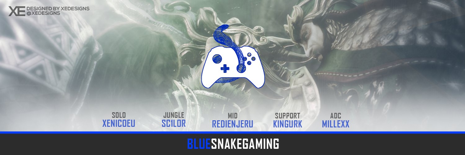 BlueSnakeGamers's profile banner image